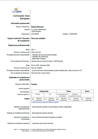 Completat Romana Model Cv Download