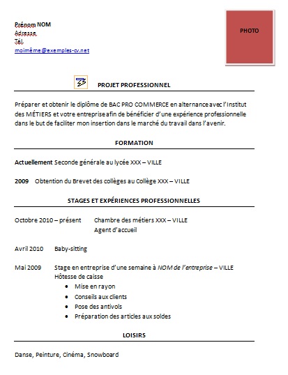 exemple cv bac pro