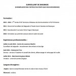 Modèle de CV Etudiant, Jeune Diplomé #1 : Titres encadrés, Sans Photo. 