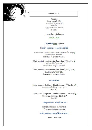 Modèle CV anti chronologique – Vague : Exemples de CV