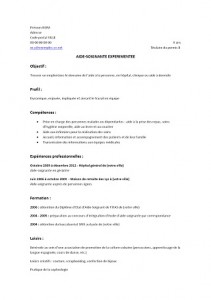 Cv Aide Soignante