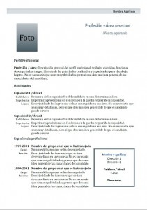Modèle de CV mixte en espagnol